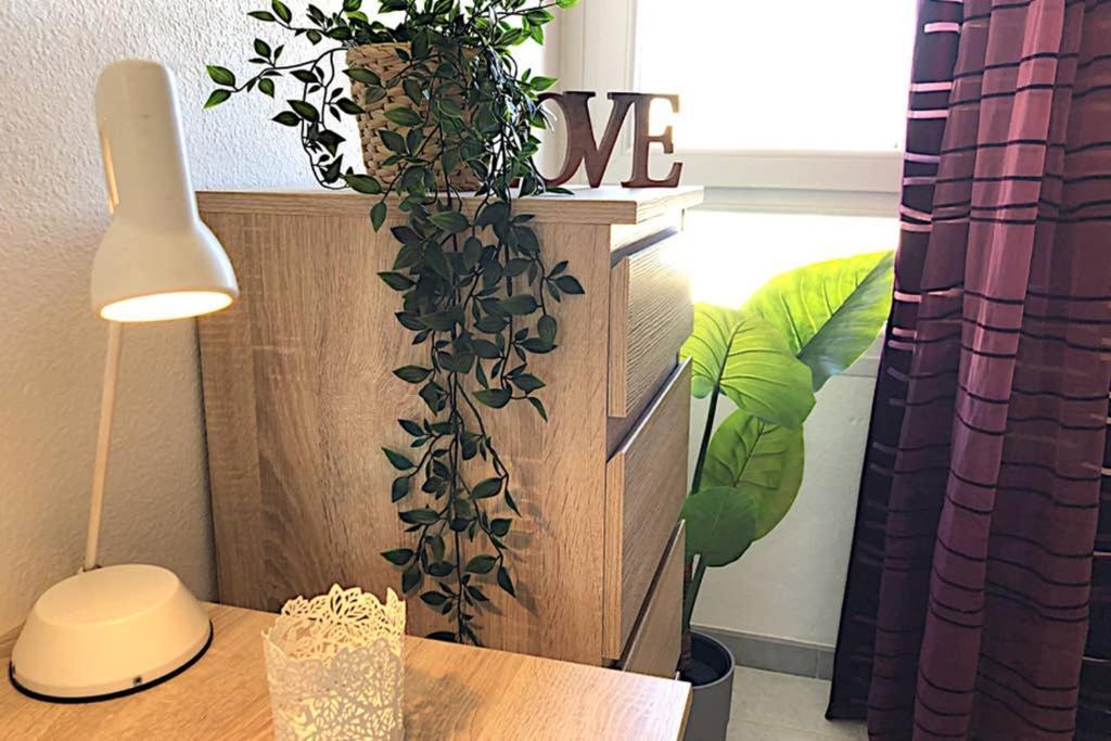 Minerva Apartment *